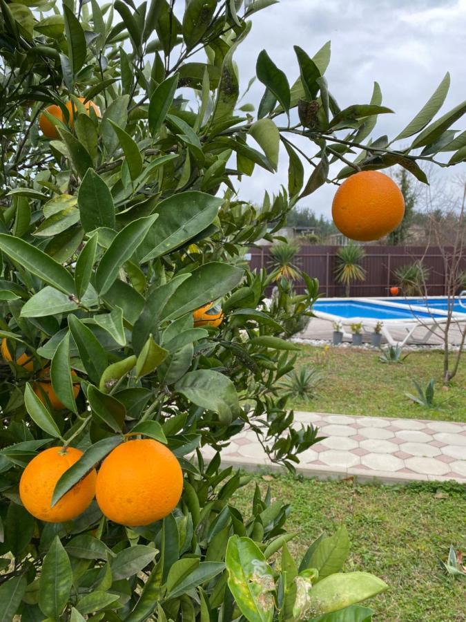 Hotel Solntse Abkhazii Lidzava Kültér fotó