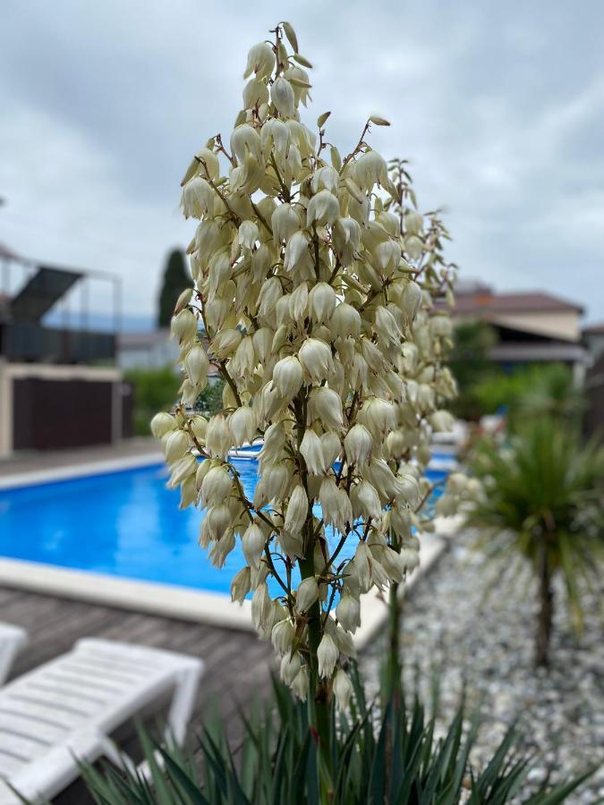 Hotel Solntse Abkhazii Lidzava Kültér fotó